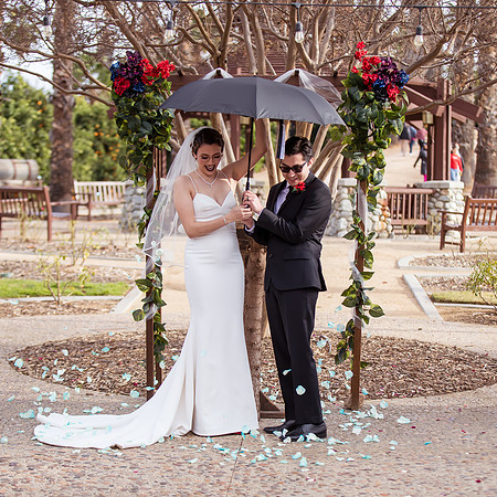 Temecula Menifee Wedding Photographer, California Citrus State Historic Park, Andrea & Andy   -287