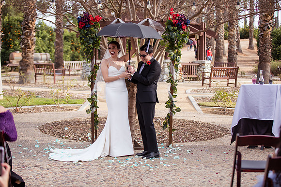 Temecula Menifee Wedding Photographer, California Citrus State Historic Park, Andrea & Andy   -288