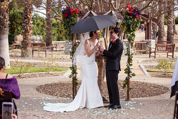 Temecula Menifee Wedding Photographer, California Citrus State Historic Park, Andrea & Andy   -291
