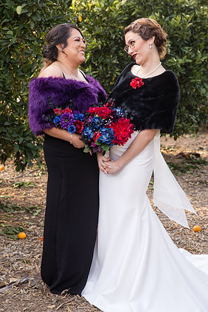 Temecula Menifee Wedding Photographer, California Citrus State Historic Park, Andrea & Andy   -380
