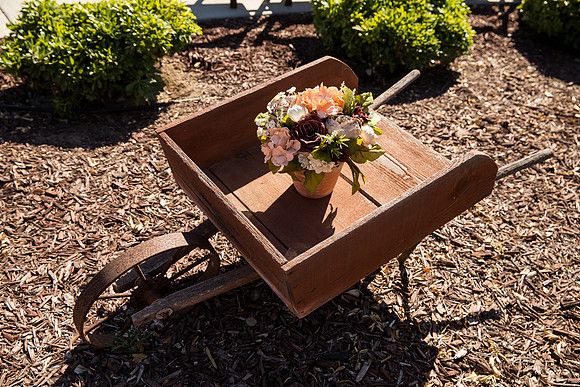 Temecula Wedding Photographer at Private Residence Wedding in La Cresta, Shae & Justin-20
