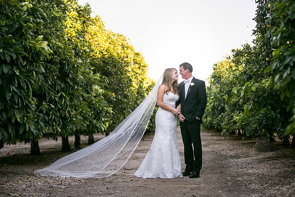 Beautiful wedding at Wiens Family Cellars Temecula Winery - Sarah & Shawn