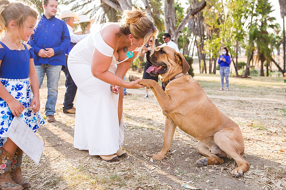 Micro Wedding by Wedding Photographer in Temecula, Rachel & Scott-301
