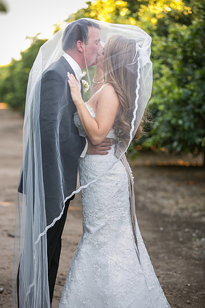 Beautiful wedding at Wiens Family Cellars Temecula Winery - Sarah & Shawn