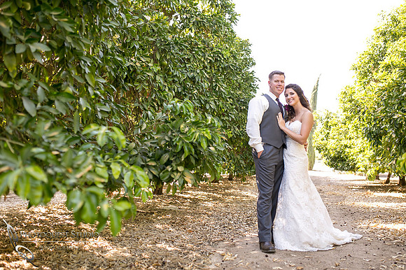 Wedding Photo at Temecula Winery, Wiens Family Cellars by Temecula Wedding Photographer, Amanda and Jonathon