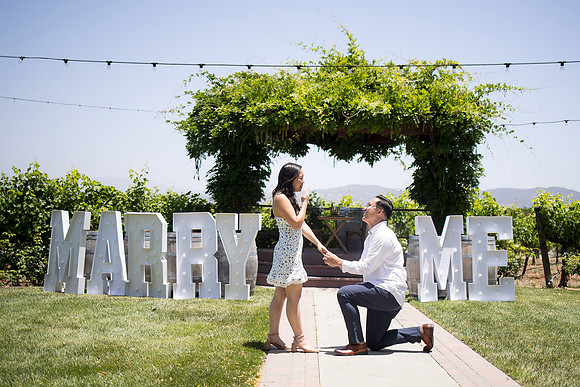 nina les orange county wedding photographer lorimar temecula winery surprise proposal-53