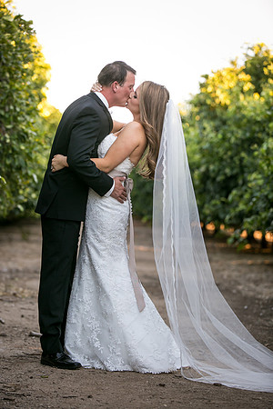 Beautiful wedding at Wiens Family Cellars Temecula Winery - Sarah & Shawn