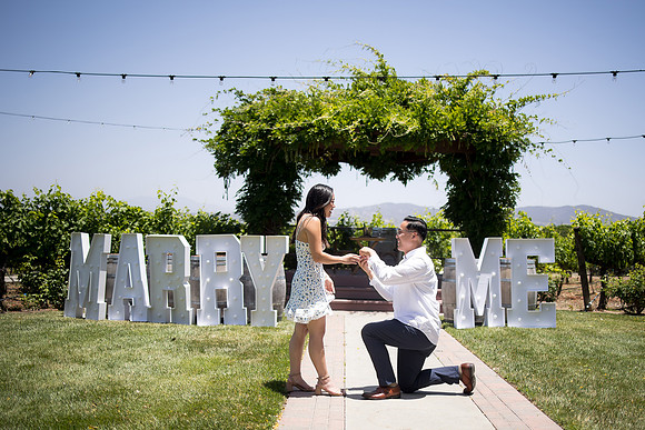 nina les orange county wedding photographer lorimar temecula winery surprise proposal-62