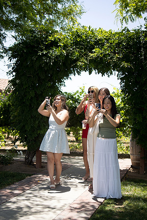 nina les orange county wedding photographer lorimar temecula winery surprise proposal-69