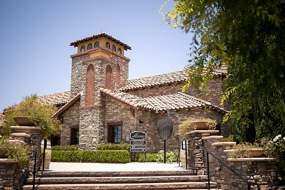 nina les orange county wedding photographer lorimar temecula winery surprise proposal-1