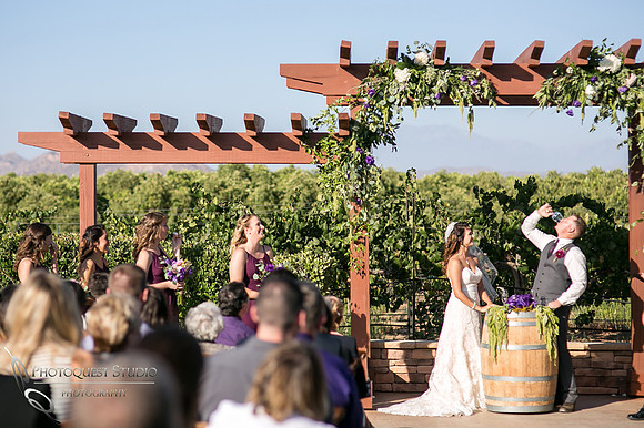 Wedding Photo at Temecula Winery, Wiens Family Cellars by Temecula Wedding Photographer, Amanda and Jonathon