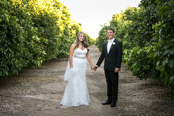 Beautiful wedding at Wiens Family Cellars Temecula Winery - Sarah & Shawn
