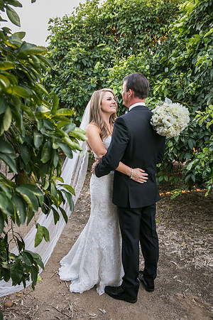 Beautiful wedding at Wiens Family Cellars Temecula Winery - Sarah & Shawn