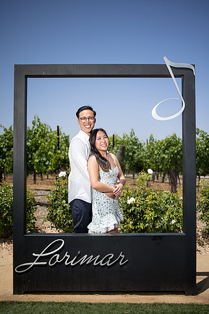 nina les orange county wedding photographer lorimar temecula winery surprise proposal-143
