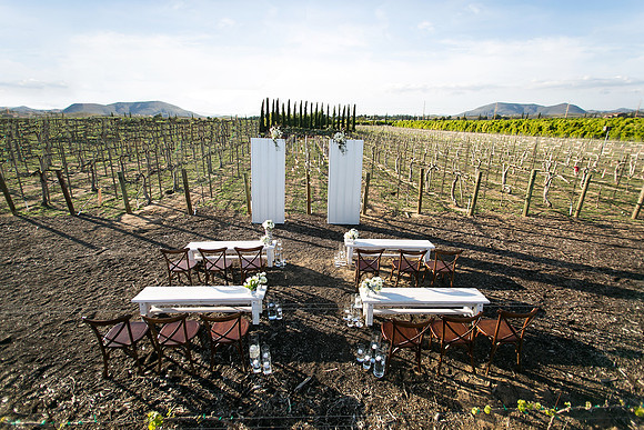 The same sex wedding Styled Shoot by Photoquest Studio, Photography at Wiens Winery (114)