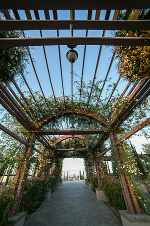 Mount Palomar Temecula Winery Wedding, Melissa and Chris Wedding by Temecula Wedding Photographer