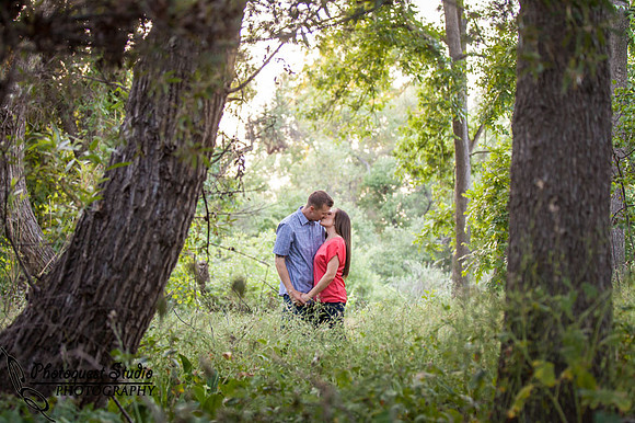 Fallbrook San Diego Outdoor Engagement Stone Garden Wedding Kristina and Cam