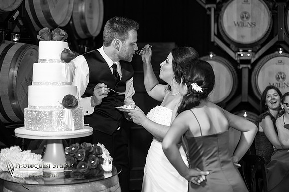Temecula Wedding Photographer captured romantic and fun wedding photos at Wiens Family Cellars, Temecula Winery Wedding.