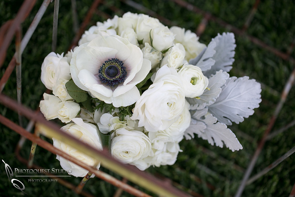 The same sex wedding Styled Shoot by Photoquest Studio Photography, Temecula wedding photographer at Wiens Winery (34)