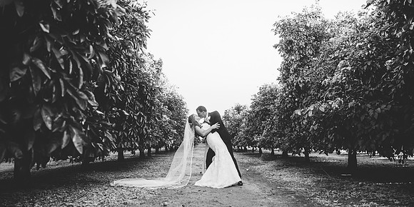 Beautiful wedding at Wiens Family Cellars Temecula Winery - Sarah & Shawn