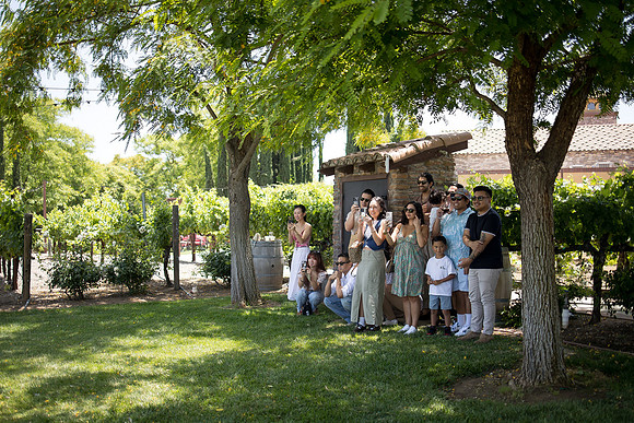nina les orange county wedding photographer lorimar temecula winery surprise proposal-46