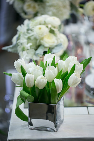 The same sex wedding Styled Shoot by Photoquest Studio, Photography at Wiens Winery (64)