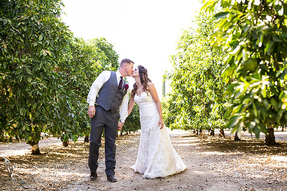 Wedding Photo at Temecula Winery, Wiens Family Cellars by Temecula Wedding Photographer, Amanda and Jonathon