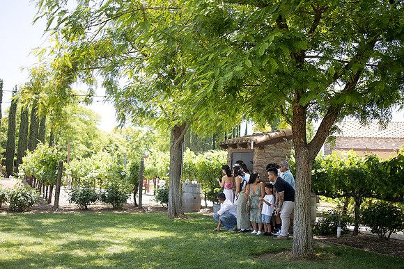 nina les orange county wedding photographer lorimar temecula winery surprise proposal-27