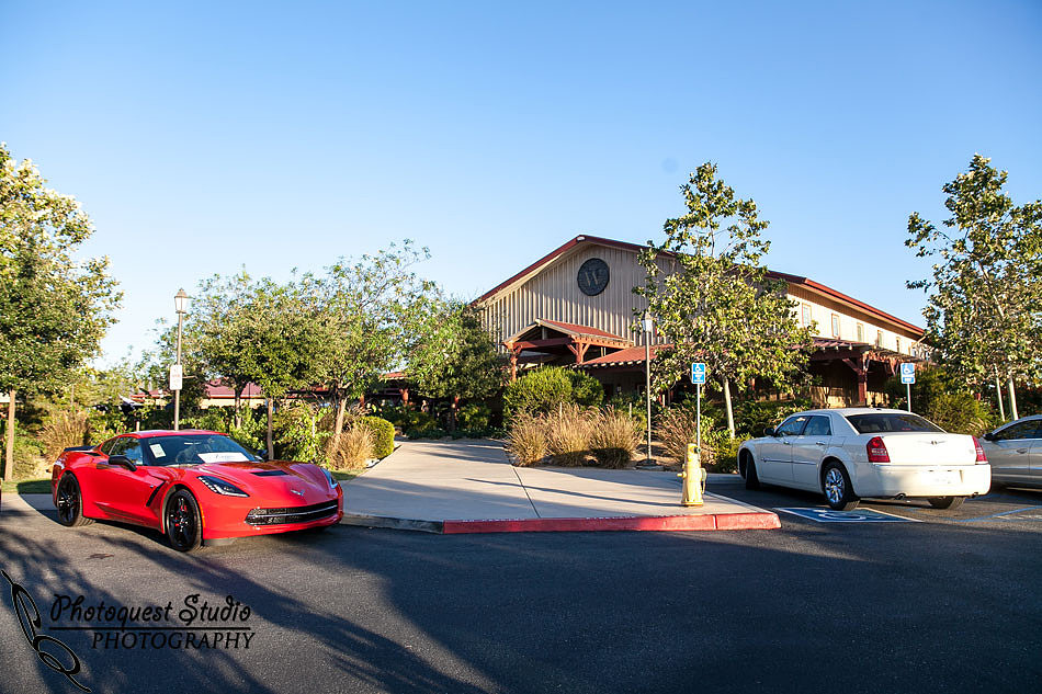 Temecula Wedding Photographer, Concert Photographer at Wiens Family Cellars Winery, The English Beat