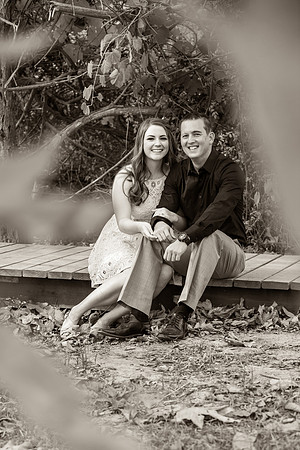 Southern California Engagement with nature in fall Photos in Fallbrook, San Diego by Temecula Winery Wedding Photographer, Sarah & Shawn