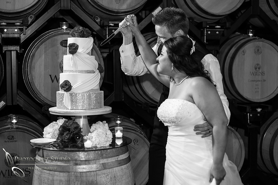 Temecula Wedding Photographer captured romantic and fun wedding photos at Wiens Family Cellars, Temecula Winery Wedding.