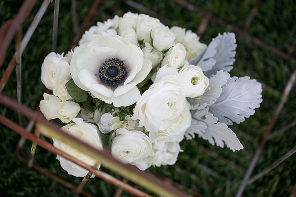 The same sex wedding Styled Shoot by Photoquest Studio, Photography at Wiens Winery (161)