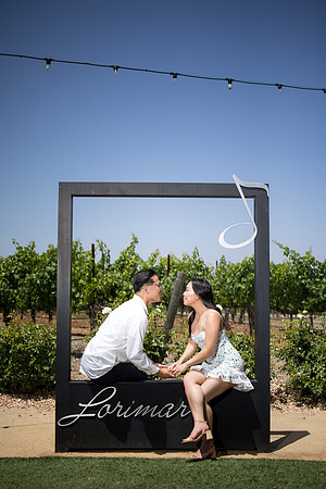 nina les orange county wedding photographer lorimar temecula winery surprise proposal-138