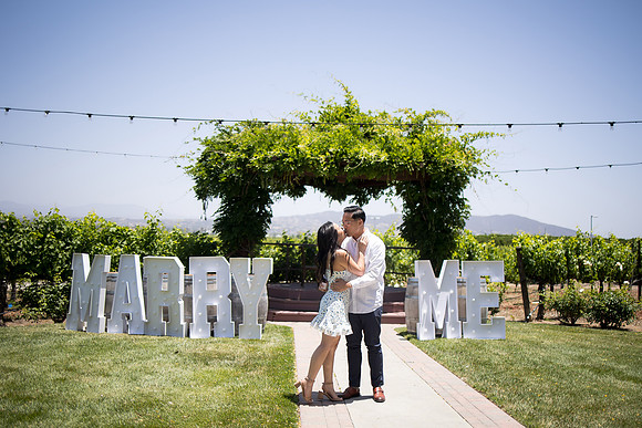nina les orange county wedding photographer lorimar temecula winery surprise proposal-66