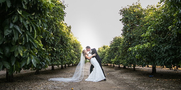 Beautiful wedding at Wiens Family Cellars Temecula Winery - Sarah & Shawn