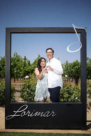 nina les orange county wedding photographer lorimar temecula winery surprise proposal-147
