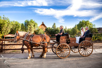 Wedding photo at Longshadow Ranch Winery by Temcula Wedding Photographer