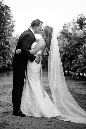 Beautiful wedding at Wiens Family Cellars Temecula Winery - Sarah & Shawn
