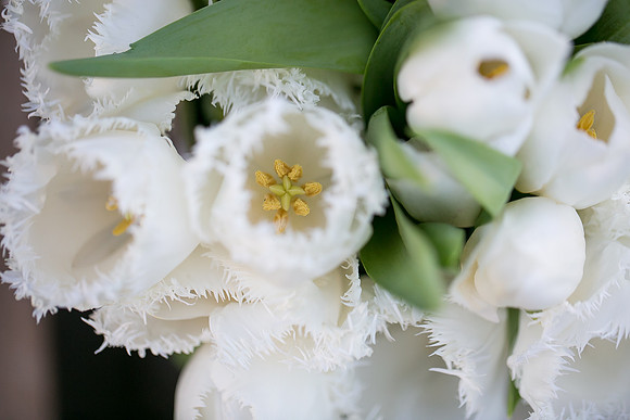 The same sex wedding Styled Shoot by Photoquest Studio, Photography at Wiens Winery (162)