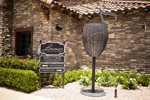 nina les orange county wedding photographer lorimar temecula winery surprise proposal-3