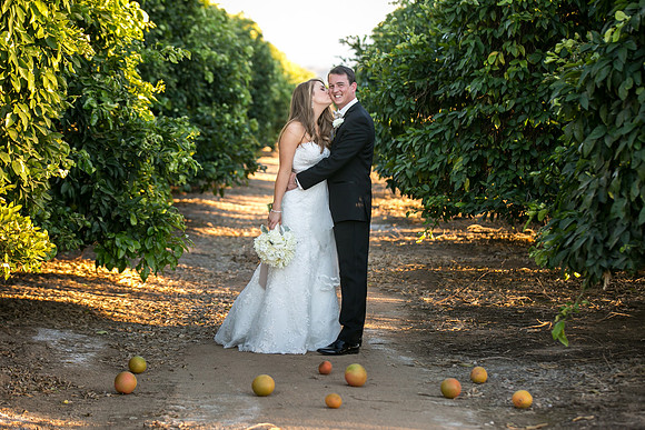 Beautiful wedding at Wiens Family Cellars Temecula Winery - Sarah & Shawn