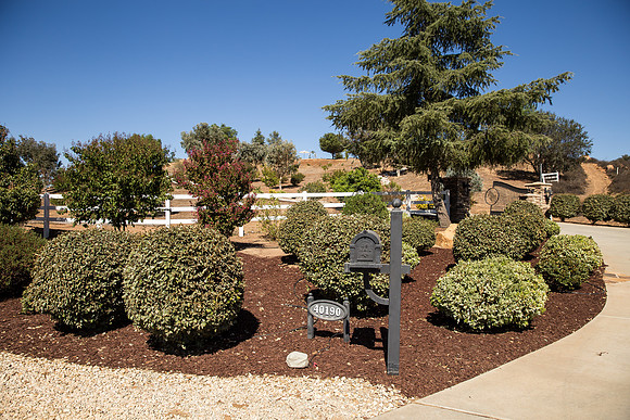 Temecula Wedding Photographer at Private Residence Wedding in La Cresta, Shae & Justin-3