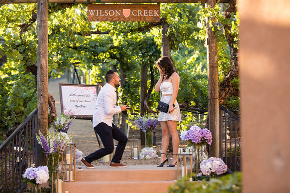 Surprise Proposal, Wilson Creek, Temecula Winery Wedding Photographer, Noelle & Johnny (20)