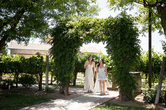 nina les orange county wedding photographer lorimar temecula winery surprise proposal-30
