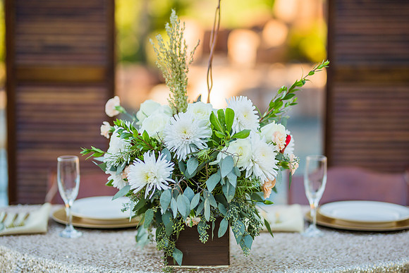 Temecula Wedding Photographer at Private Residence Wedding in La Cresta, Shae & Justin-285