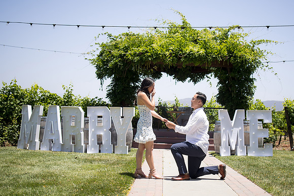 nina les orange county wedding photographer lorimar temecula winery surprise proposal-57