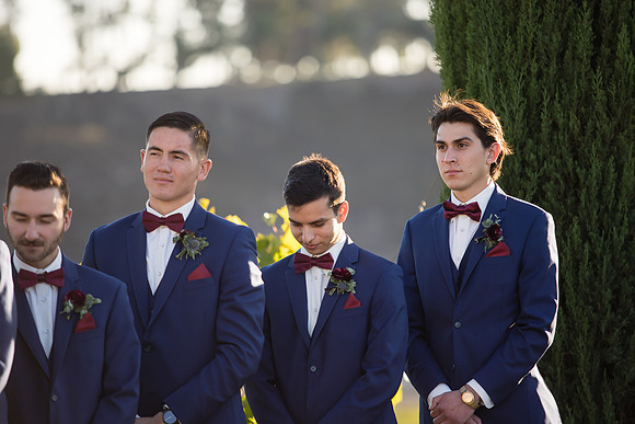 Temecula Wedding Photographer at Avensole Winery, Haley & Tristian-418