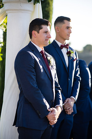 Temecula Wedding Photographer at Avensole Winery, Haley & Tristian-379