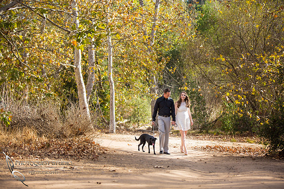 Southern California Engagement with nature in fall Photos in Fallbrook, San Diego by Temecula Winery Wedding Photographer, Sarah & Shawn