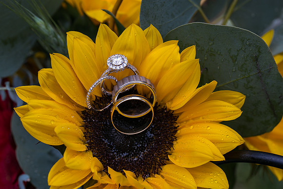 Beautiful Military Wedding at Longshadow Ranch by Temecula Wedding Photographer - Tina & Kurt (8)
